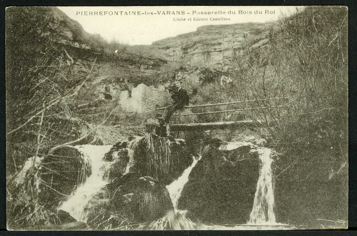 Passerelle du Bois du Roi