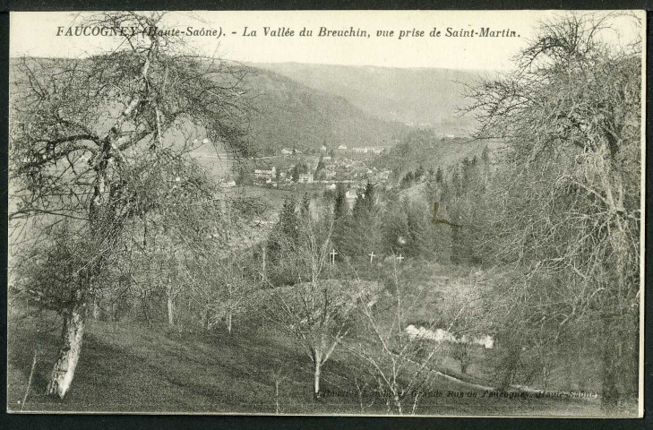 La vallée du Breuchin