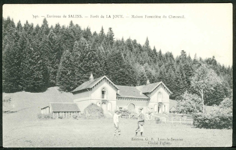 Forêt de la Joue