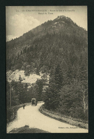 Route de Gex à la Faucille. Massif du Turet