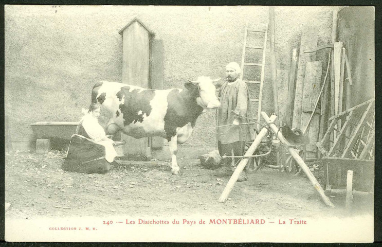 Les Diaichottes du pays de Montbéliard, la traite