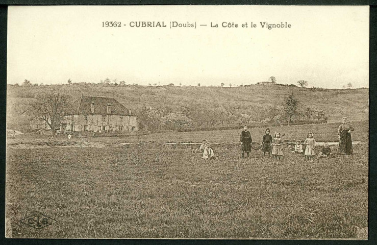 La côte et le vignoble