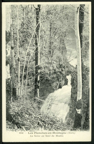La Saine au Saut du Moulin