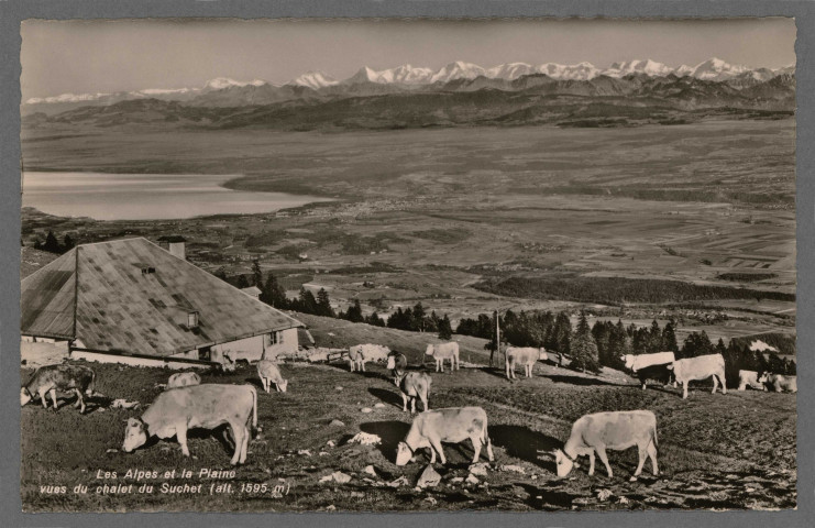 Les Alpes et la plaine. Vue du chalet du Suchet
