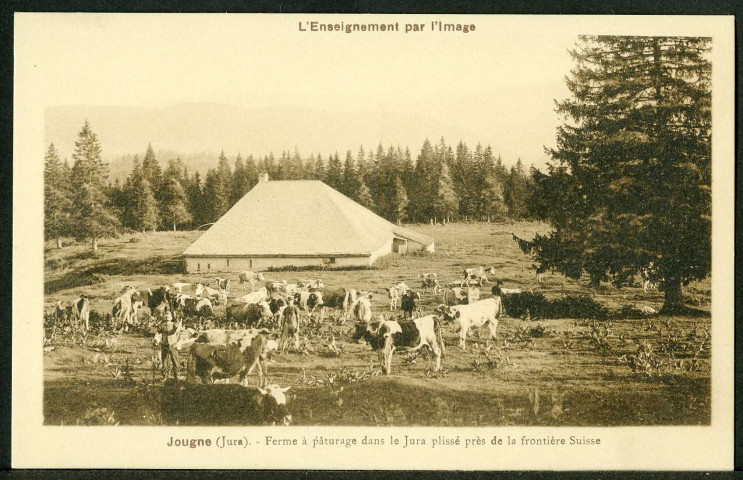Ferme à pâturage dans le Jura plissé près de la frontière suisse