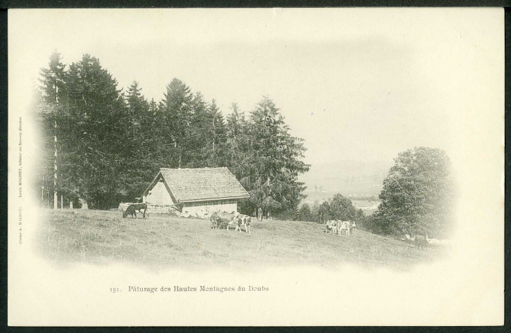 Pâturage des hautes montagnes du Doubs