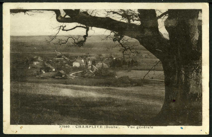 Vue générale