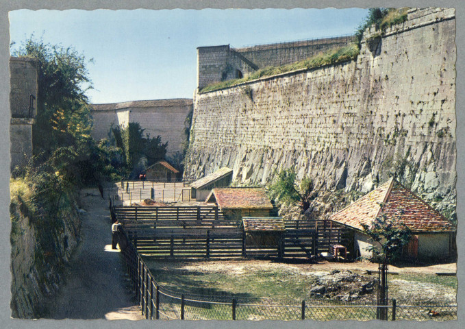 Zoo - Intérieur de la citadelle