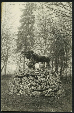Le Lion du petit bois
