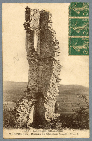 Ruines du Château féodal