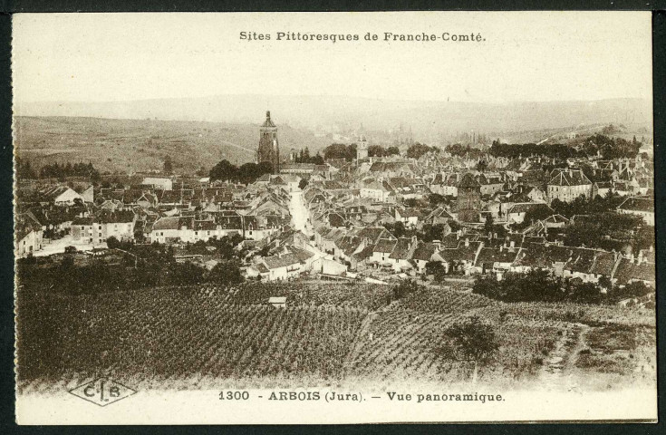 Vue panoramique