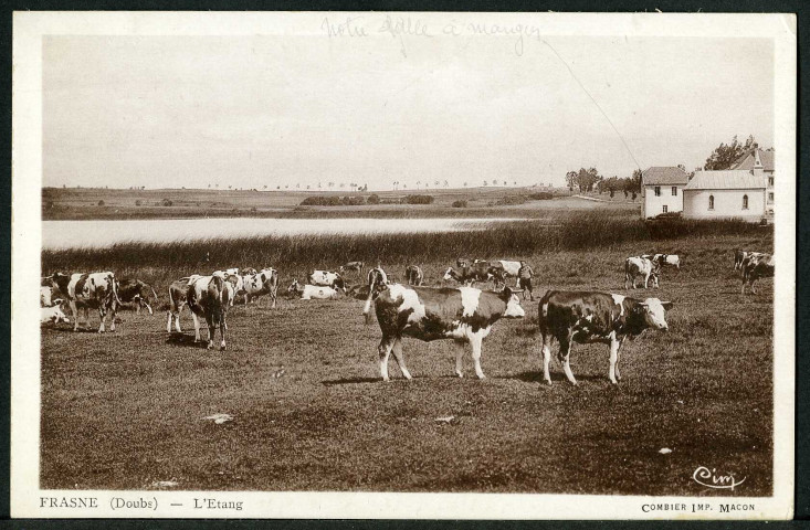 L'étang