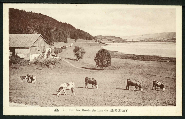 Sur les bords du lac de Remoray