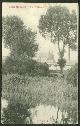 Le château de Montbéliard