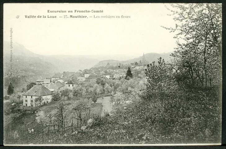 Vue générale