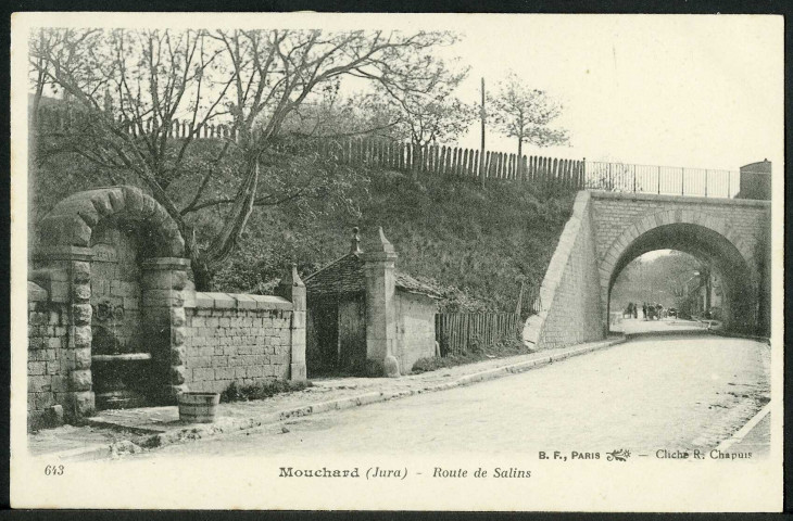 Route de Salins