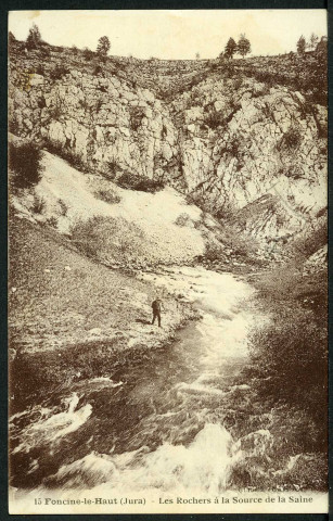Les rochers à la source de la Saine