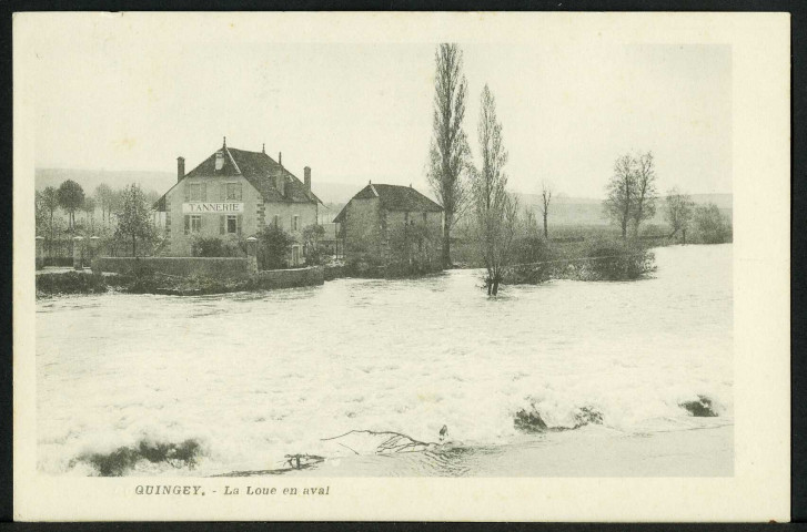 La Loue en aval, rive gauche