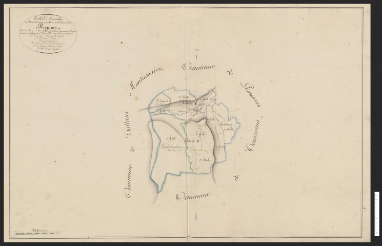 Rognon