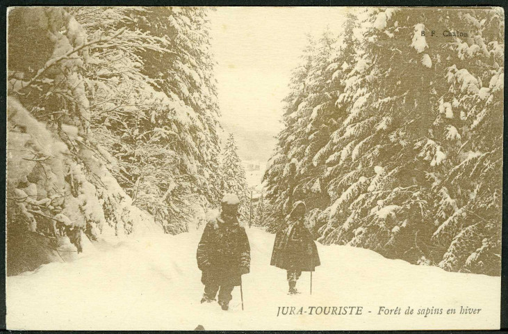 Promeneurs dans les forêts de sapins en hiver