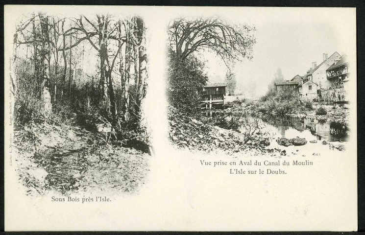 Sous bois près l'Isle
