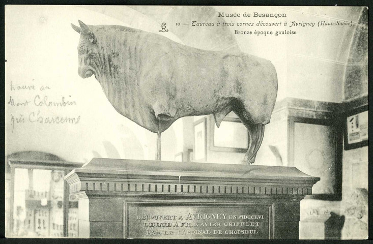 Musée, taureau à trois cornes découvert à Avrigney