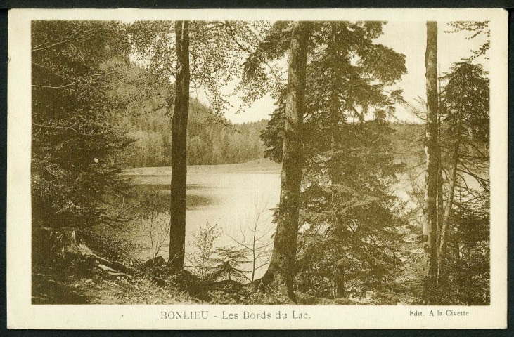 Les bords du lac