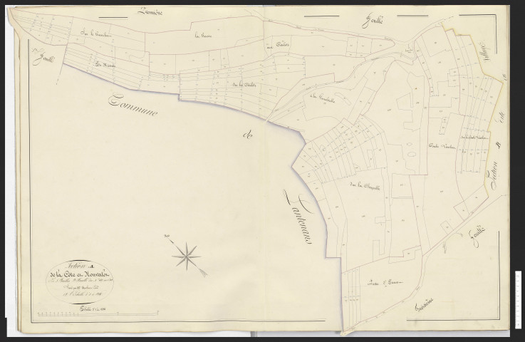 Hyémondans