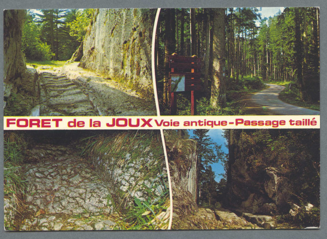 Forêt de la Joux