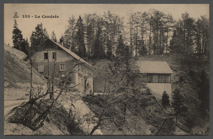 La Cendrée